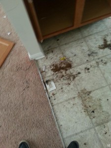 20140414_155530