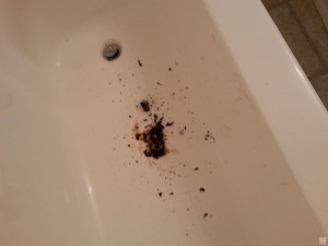 20140414_160035
