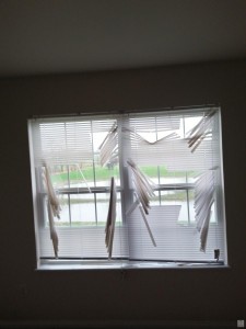 20140414_160106