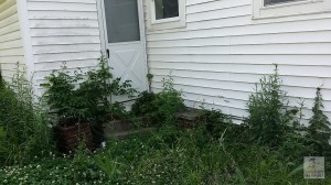 20140612_161249