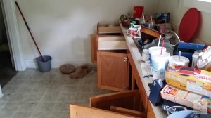 20140612_162921
